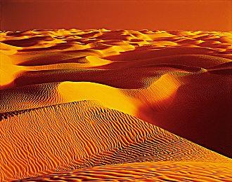 城市建设游戏新作《企鹅联合王国》2024年发售