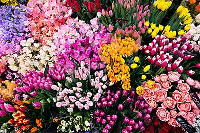 《星战》手游《星球大战：银河英雄》将移植到PC平台